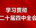 洪墩镇第十九届人民代表大会第九次会议胜利召开