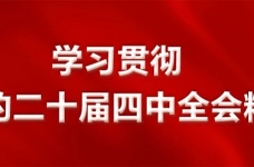 洪墩镇第十九届人民代表大会第九次会议胜利召开