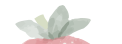 115057yugmcu4cgmpp3kz5.png