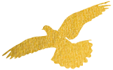 214723izvc208u2so2z40s.png