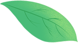 121738v9iarrjzexmhheih.png