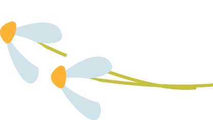 221535c4oarprzxr484alf.png
